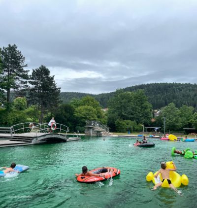 c843830b-96bf-46d3-afbb-0f245de390b0