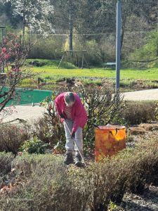 img-0181-894